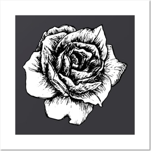 Black and white rose Posters and Art